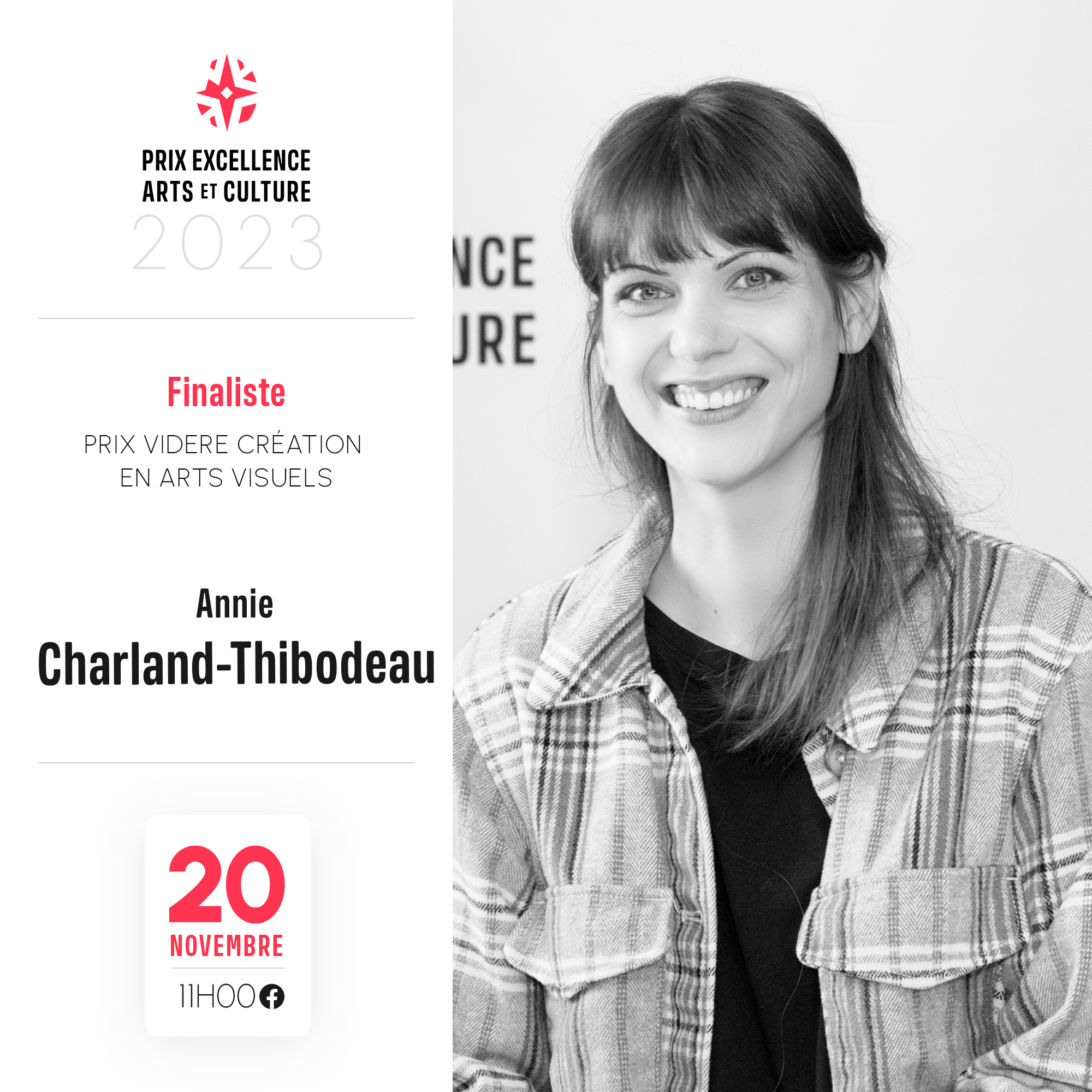 Prix Videre Création en arts visuels Annie Charland-Thibodeau